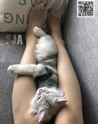 天天看高清影视在线观看_BD韩语电影完整版