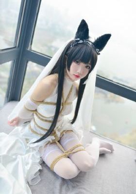 台湾奇案_BD英语高清免费观看